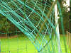 egvv_picture 079.jpg